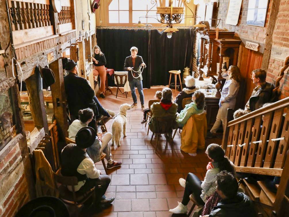 ZauberJanis Performance